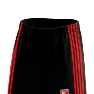Ardscoil Rís Shorts Kids